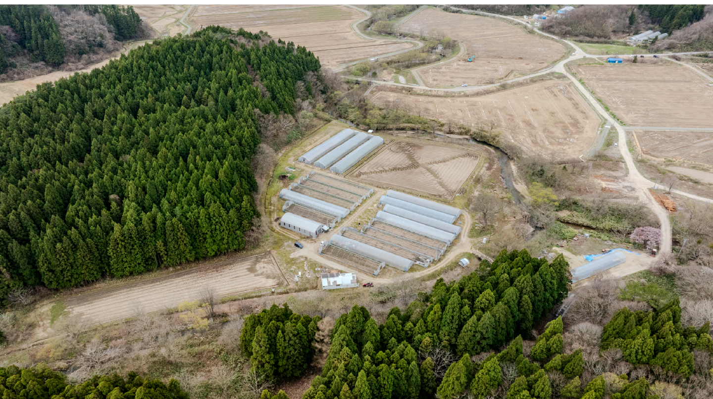 春の作業