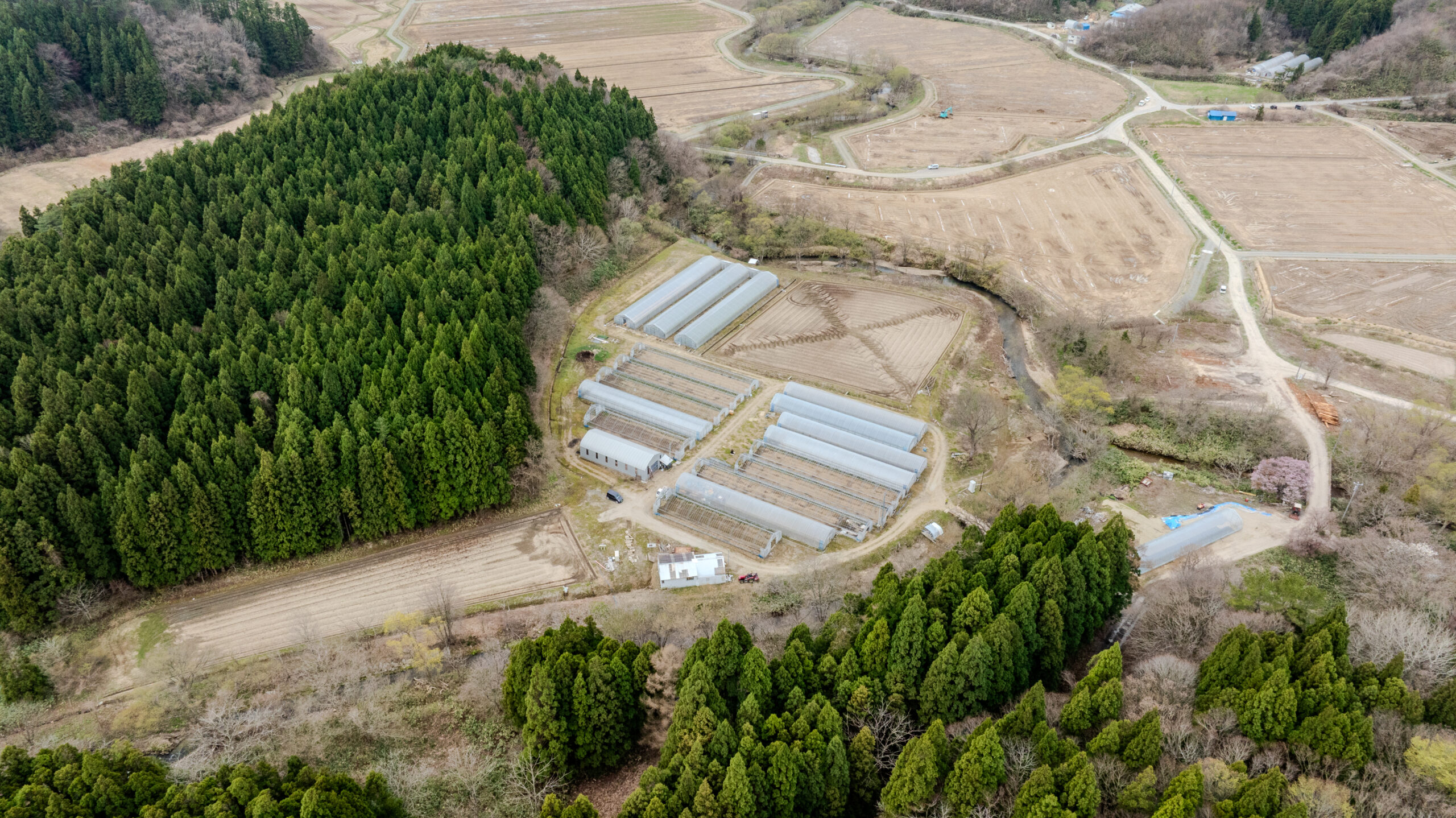 野上農園について